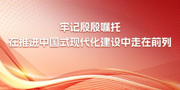  牢記殷殷囑托 在推進(jìn)中國(guó)式現(xiàn)代化建設(shè)中走在前列